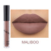 Waterproof Lipstick Long Lasting